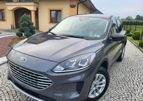 Ford Kuga cena 81500 przebieg: 38000, rok produkcji 2021 z Tarnów małe 529